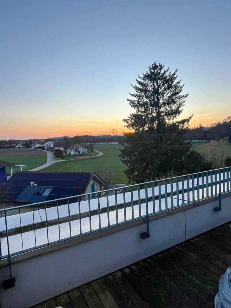 Modern living with gallery and wellness extras in Kriegstetten (6)