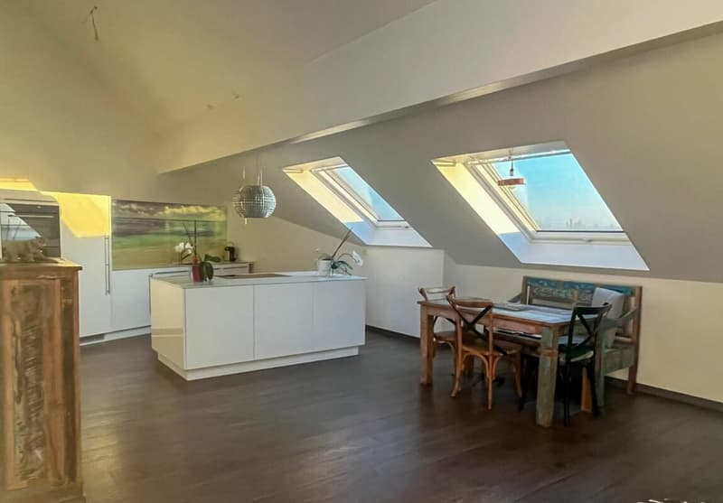 Modern living with gallery and wellness extras in Kriegstetten (2)