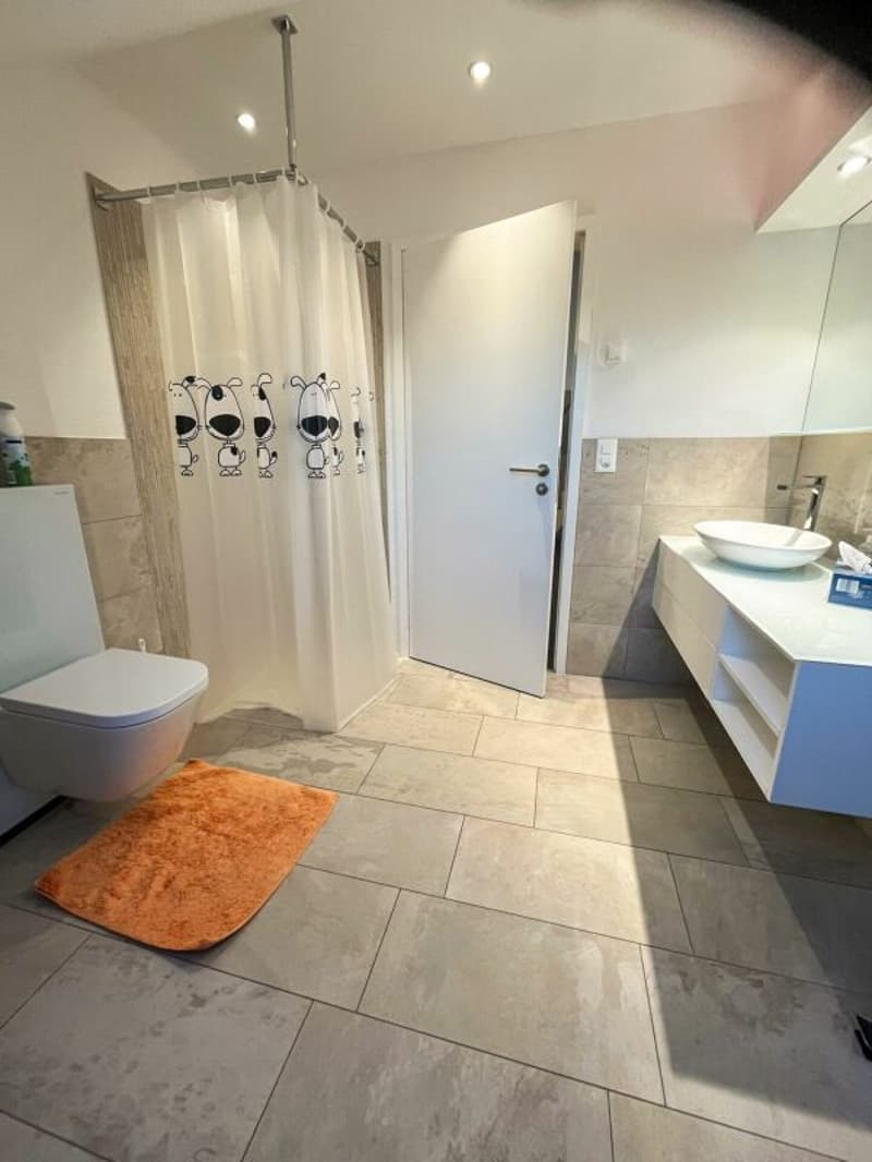 Modern living with gallery and wellness extras in Kriegstetten (4)