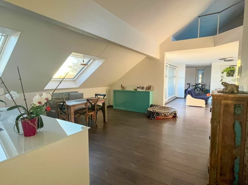 Modern living with gallery and wellness extras in Kriegstetten (1)
