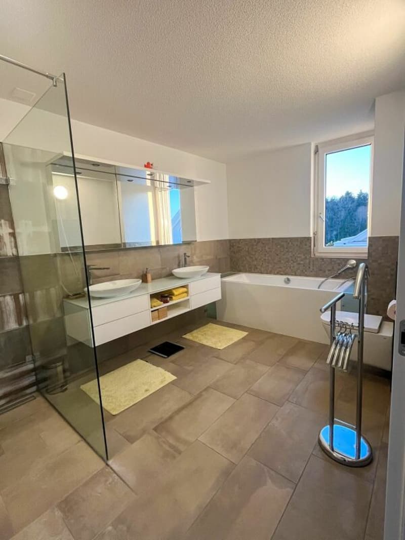 Modern living with gallery and wellness extras in Kriegstetten (8)
