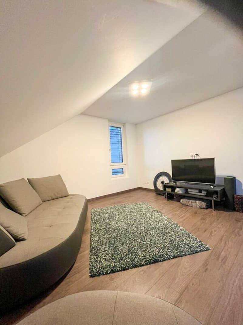 Modern living with gallery and wellness extras in Kriegstetten (10)