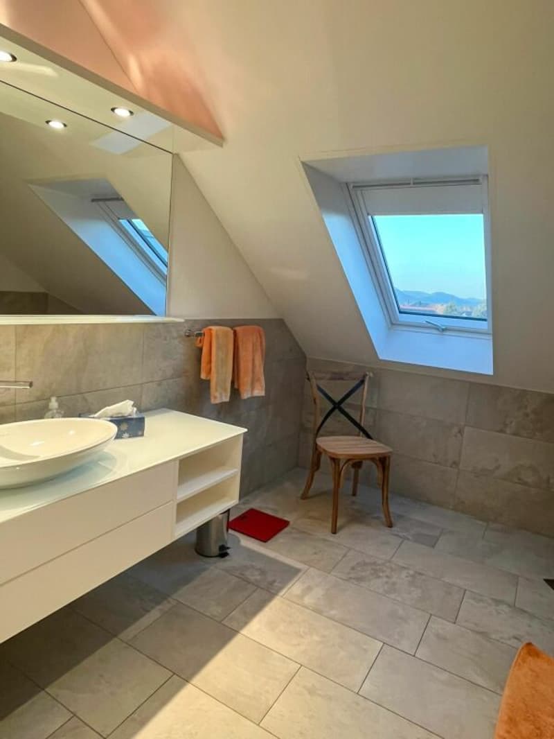 Modern living with gallery and wellness extras in Kriegstetten (3)