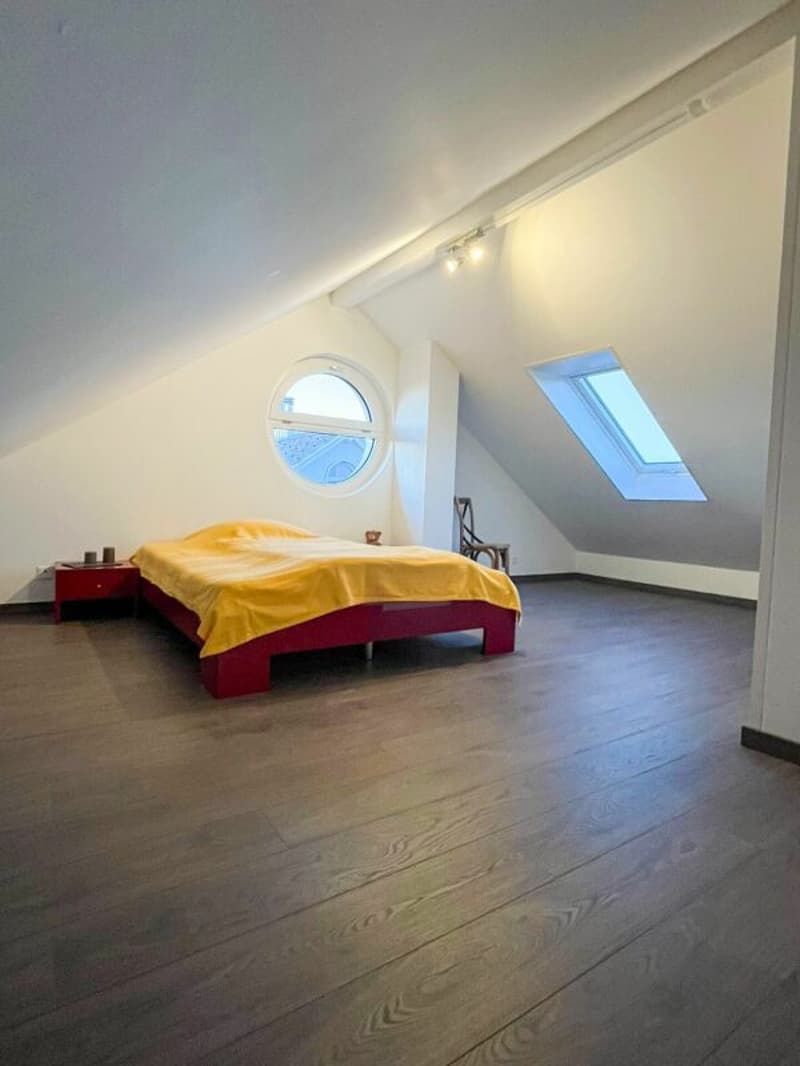 Modern living with gallery and wellness extras in Kriegstetten (5)