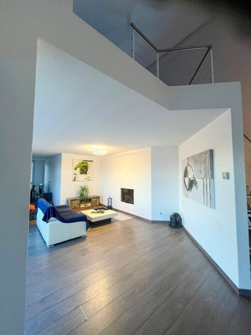 Modern living with gallery and wellness extras in Kriegstetten (9)