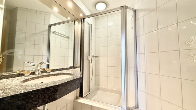 Attractive, spacious and bright 4.5 room apartment in the heart of Aegerten (9)