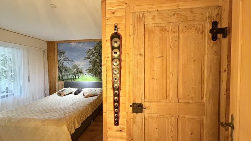 Charming 2.5 room apartment in perfect location (7)