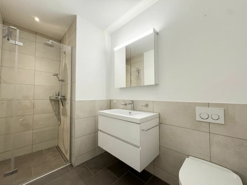 High-quality 4.5-room apartment with large balcony (2)