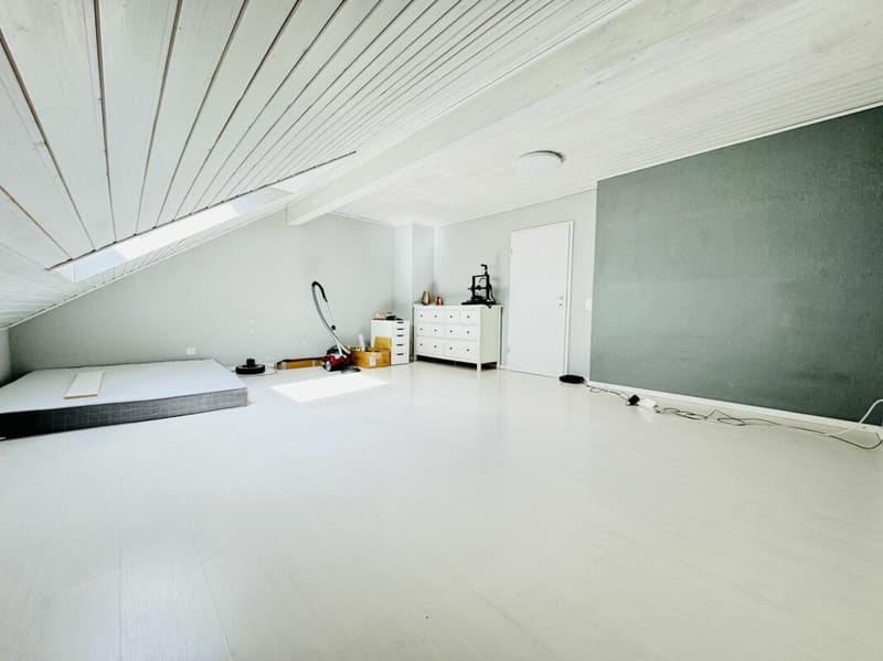 Attractive 6.5-room semi-detached house (12)