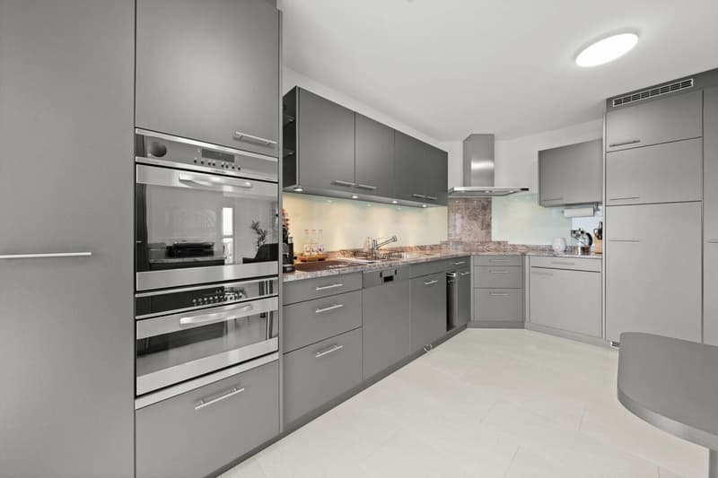 4.5-room apartment on the first floor (4)