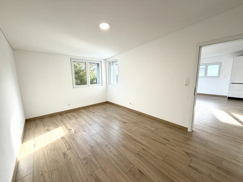 Modern 3.5-room house (6)