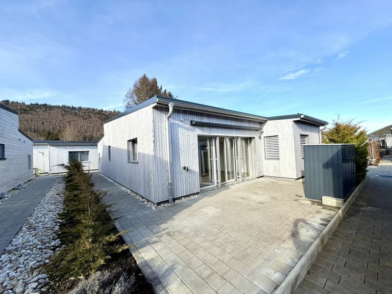 Modern 3.5-room house (3)