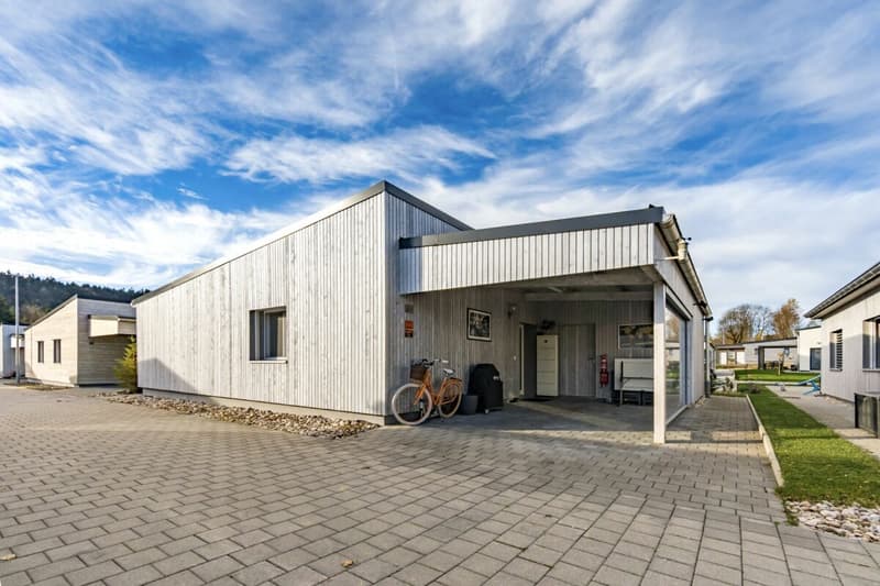 Modern 3.5-room house (2)