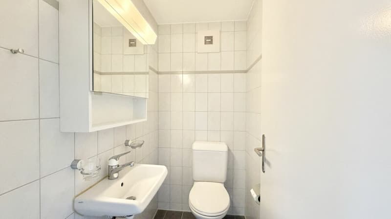 Tolle 3.5 Zi. Maisonette Wohnung mit Alpensicht (10)