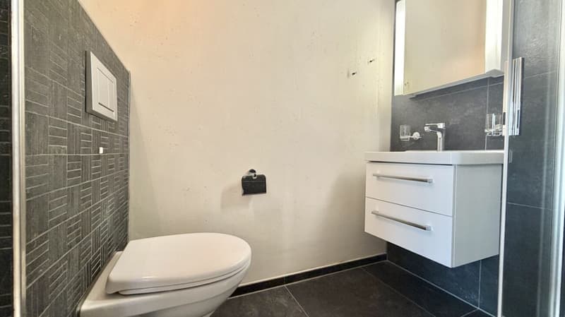 Tolle 3.5 Zi. Maisonette Wohnung mit Alpensicht (12)