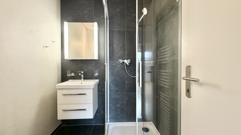 Tolle 3.5 Zi. Maisonette Wohnung mit Alpensicht (11)