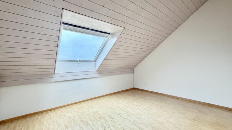 Tolle 3.5 Zi. Maisonette Wohnung mit Alpensicht (8)
