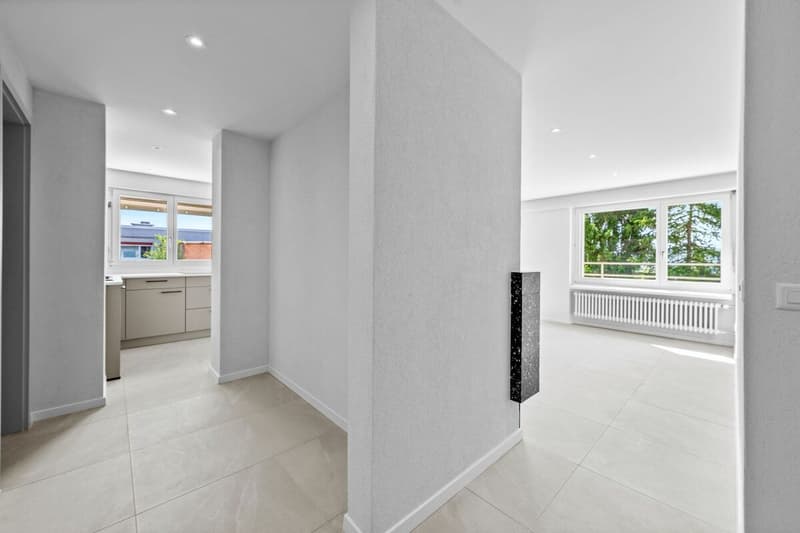 Fully renovated 4.5-room attic apartment with large terrace and panoramic view! (9)