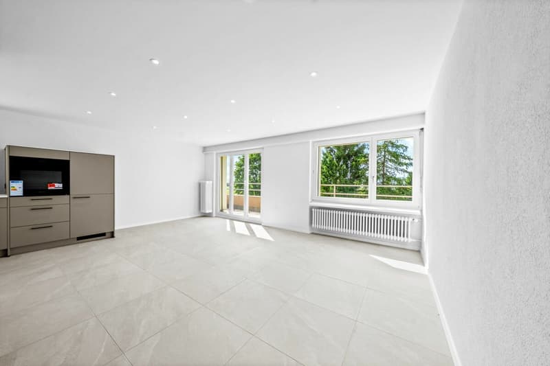 Fully renovated 4.5-room attic apartment with large terrace and panoramic view! (3)
