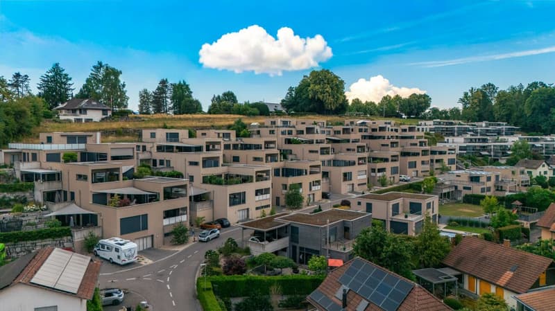 Exklusive 4.5-Zimmer-Terrassenwohnung - Modernes Wohnen auf höchstem Niveau (1)