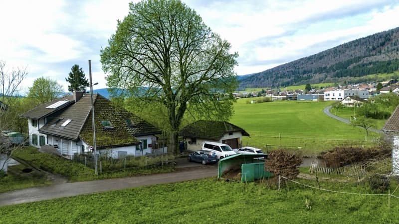Schönes Haus mit unabhängiger Wohnung und 4'500 m2 Grundstück (2)