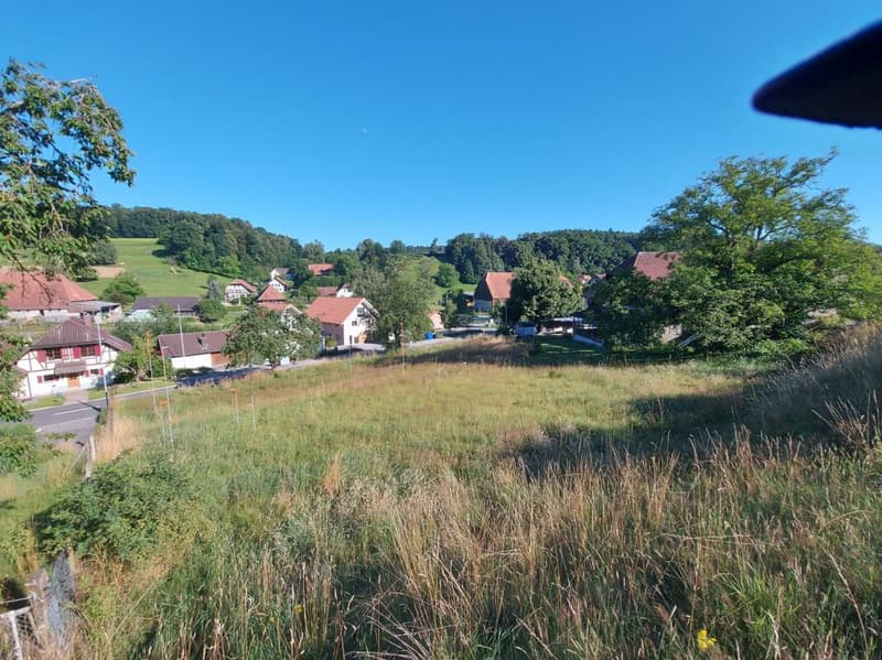 Great plot in a nature-connected location (3)