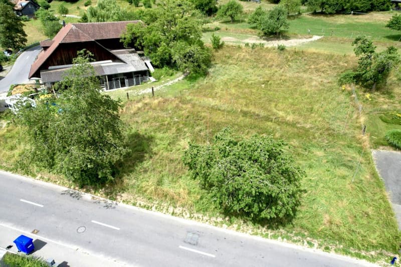 Great plot in a nature-connected location (2)