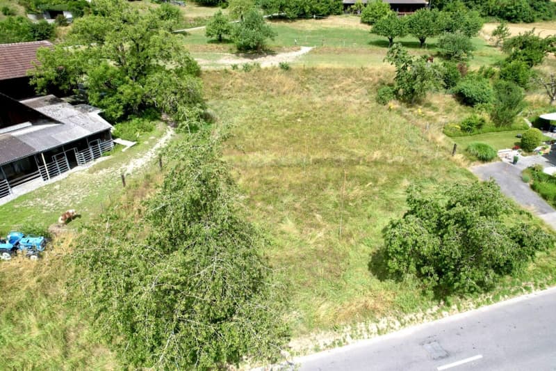 Great plot in a nature-connected location (1)