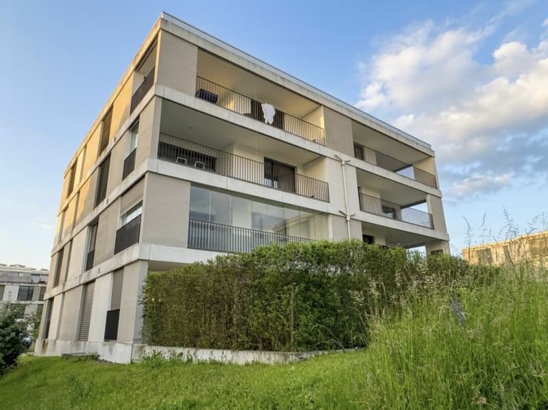 Hochwertige 4.5 Zimmer Wohnung mit grossem Balkon (1)