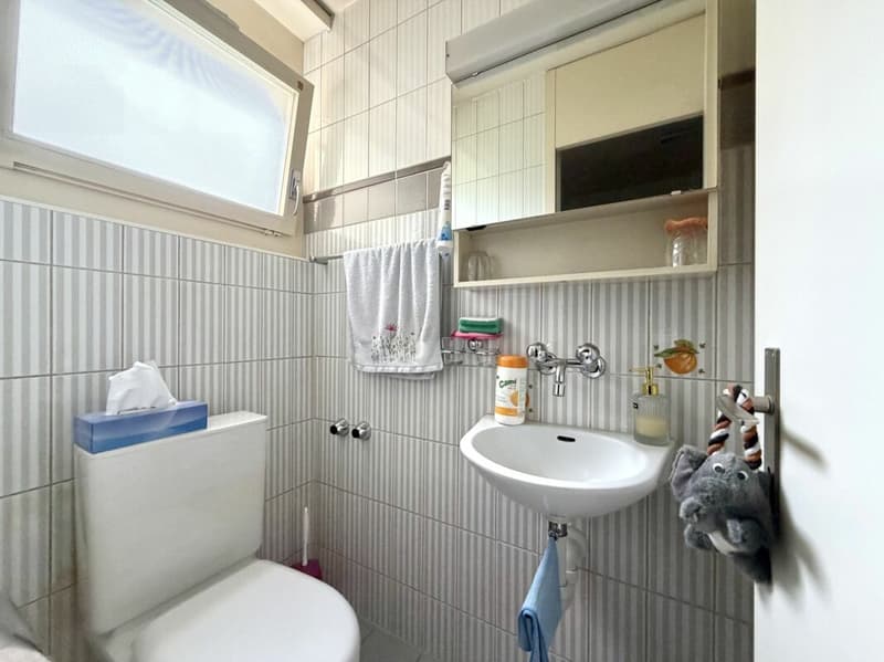 Charmante 4.5 Zimmer Wohnung mit schöner Weitsicht (7)