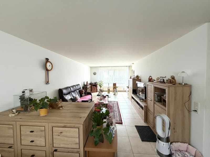 Charmante 4.5 Zimmer Wohnung mit schöner Weitsicht (1)