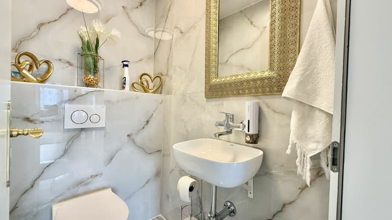 3.5 Zimmer Wohnung im beliebten Holenacker-Quartier (6)