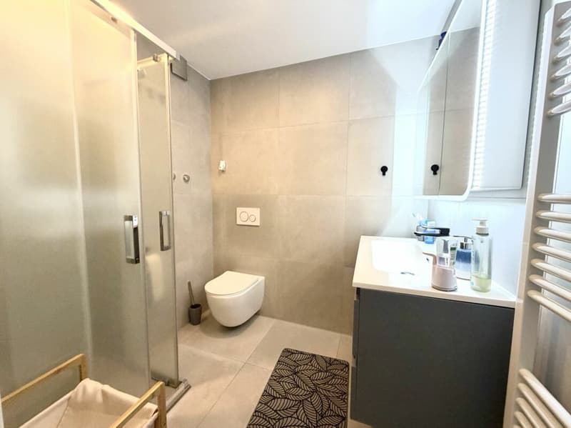 Totalsanierte 4.5 Zi. Wohnung an guter Lage (8)