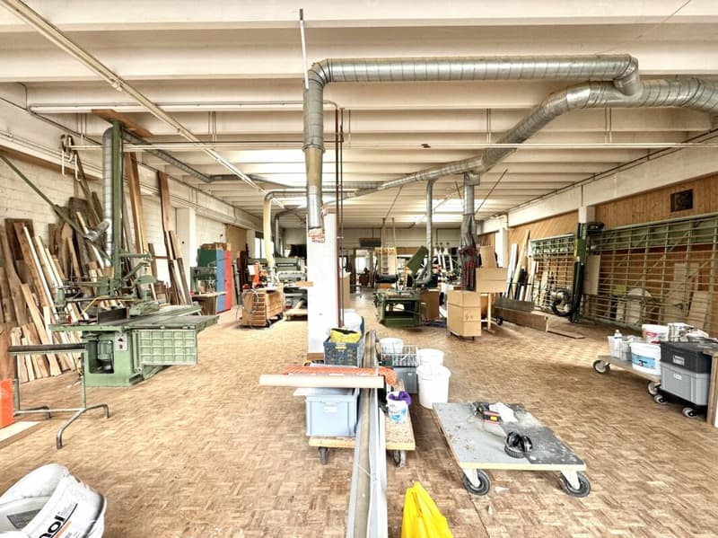 Attraktive Gewerbehalle mit Entwicklungspotenzial (3)