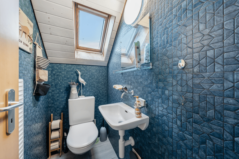 Belle maison avec appartement indépendant et terrain de 4'500 m2 (12)