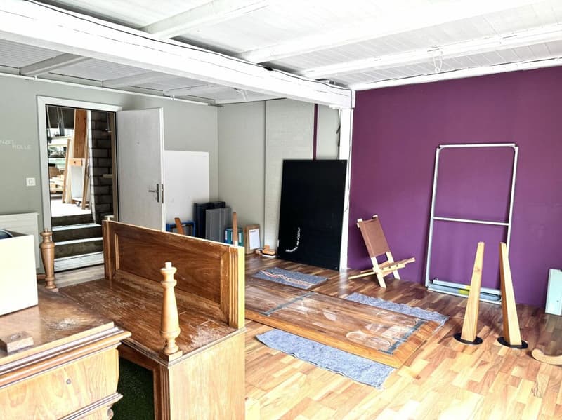Attraktive Gewerbehalle mit Entwicklungspotenzial (6)