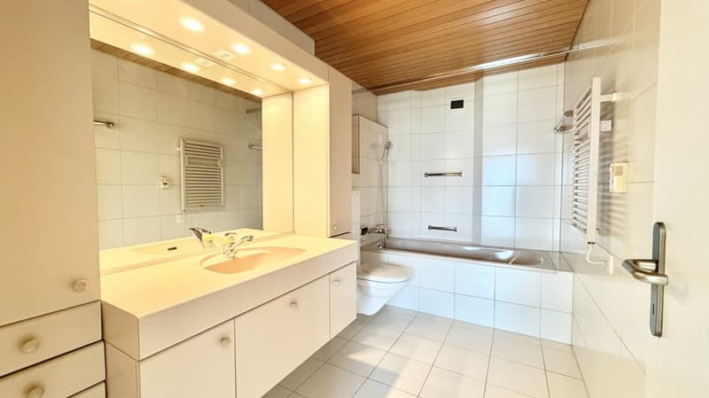 4.5 Zimmer Wohnung an Top Lage (11)