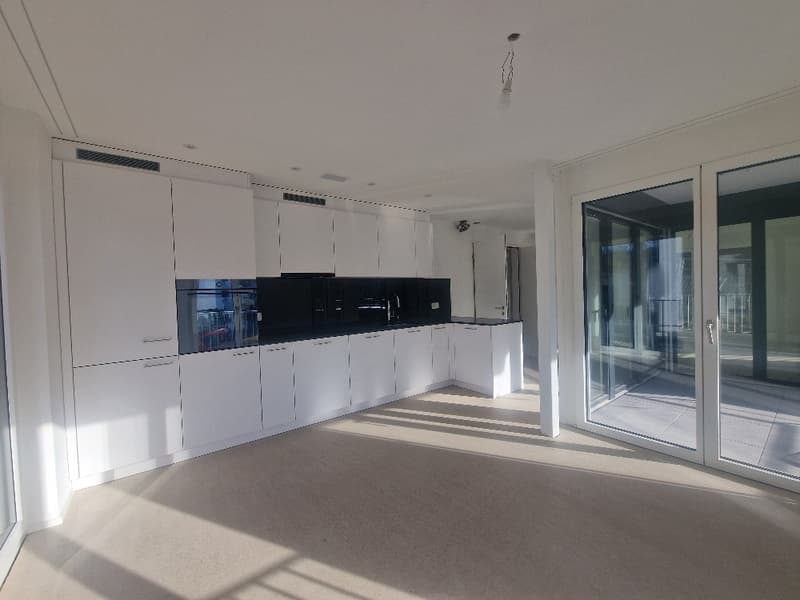 Luxuriöse 3.5 -Zimmerwohnung (mit Minergie-P) im EG an der Sonneckstrasse 3 (3)