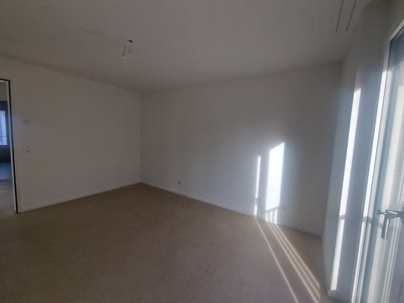 Luxuriöse 3.5 -Zimmerwohnung (mit Minergie-P) im EG an der Sonneckstrasse 3 (5)