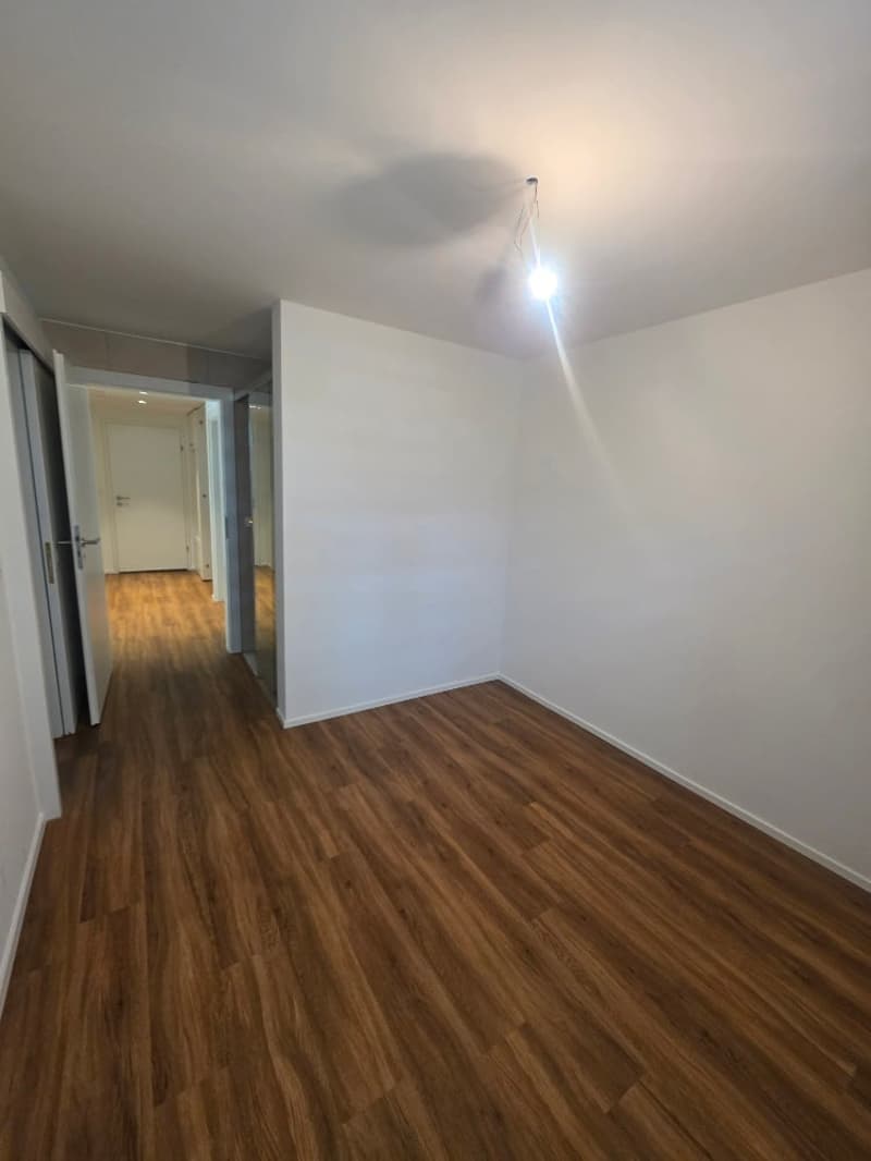 Appartamento lussuoso 3.5 locali al Nelkenring 2 (8)