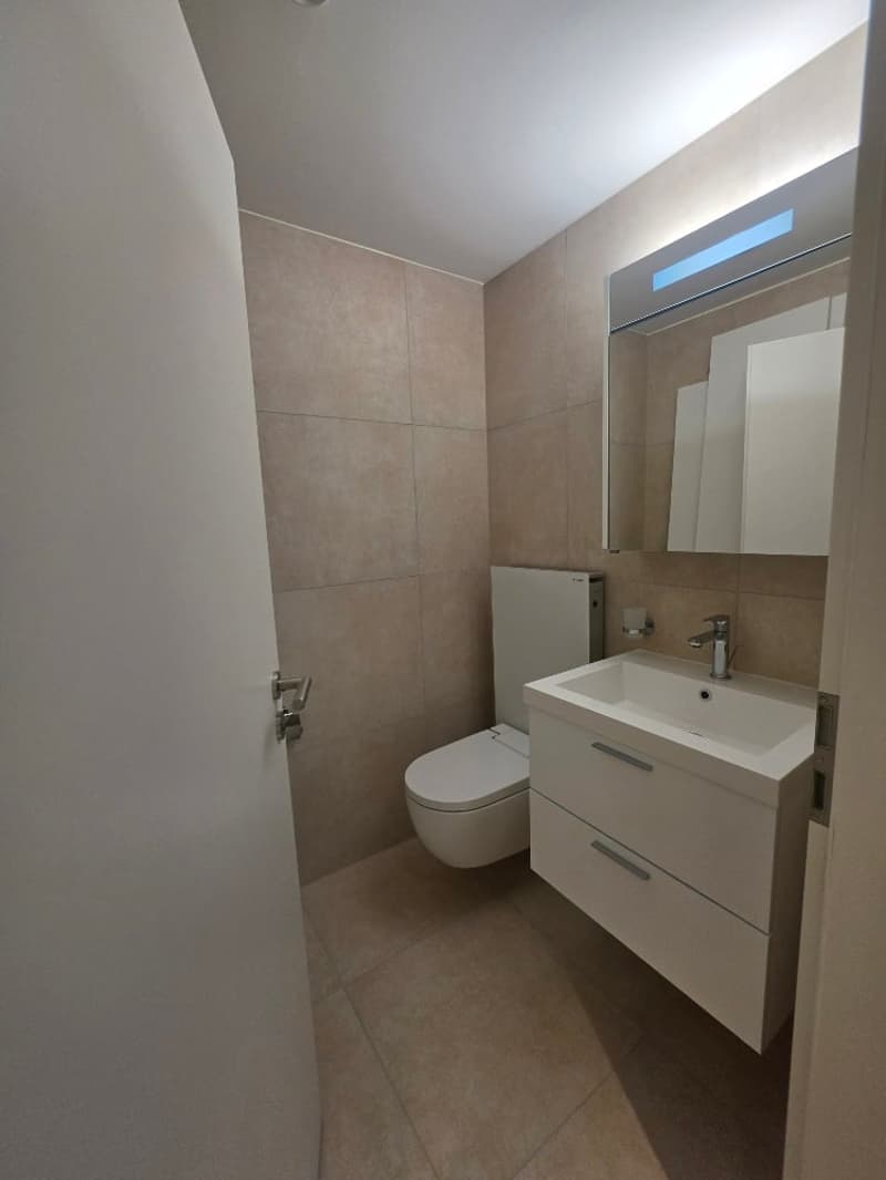 Appartamento lussuoso 3.5 locali al Nelkenring 2 (4)