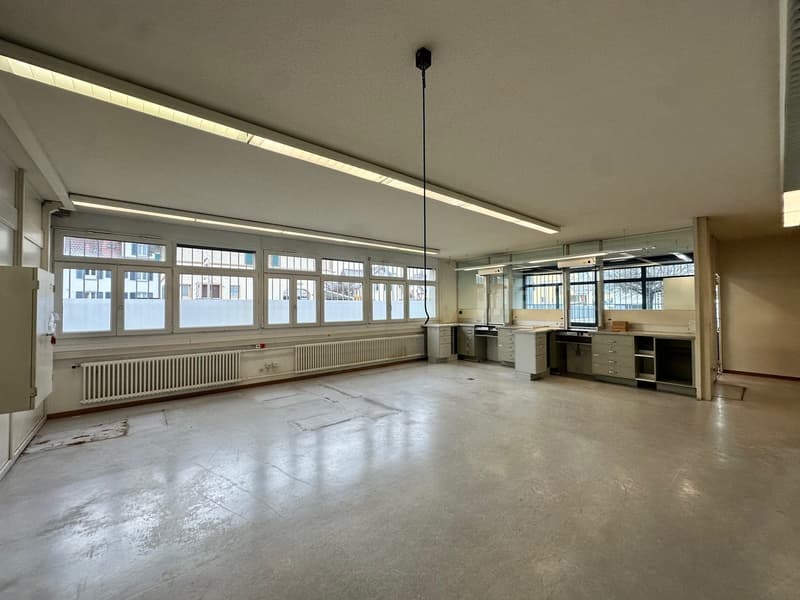Large room with white floor, large windows, white radiators, kitchen area with a sink and cabinets