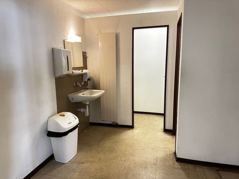 Sink, mounted soap dispenser, mirror, towel holder, trash bin, open entrance, radiator