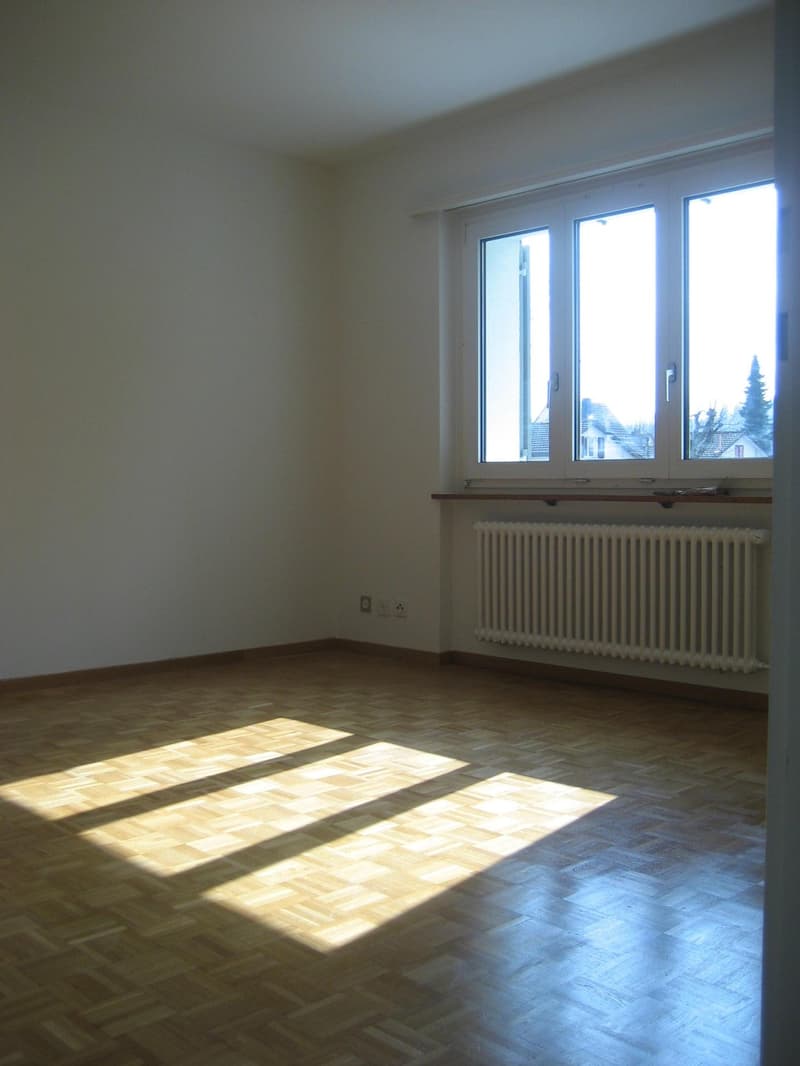 Helle 2-Zimmer Wohnung in unmittelbarer Nähe zum Kantonsspital Aarau (3)