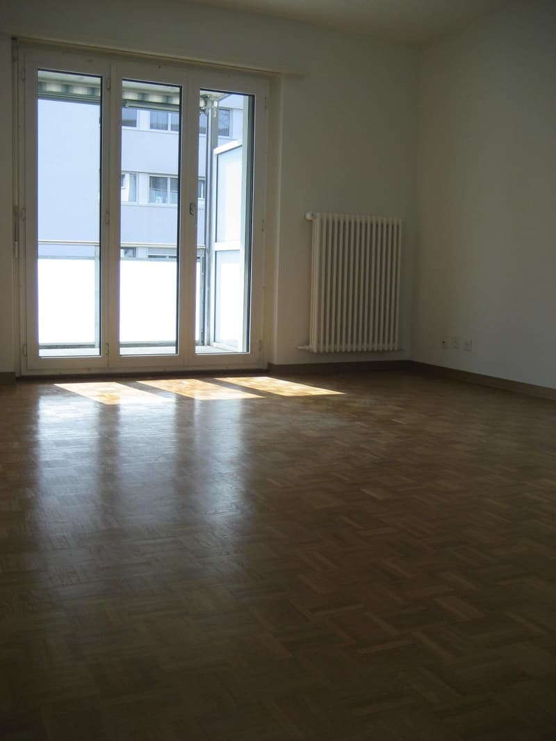 Helle 2-Zimmer Wohnung in unmittelbarer Nähe zum Kantonsspital Aarau (2)