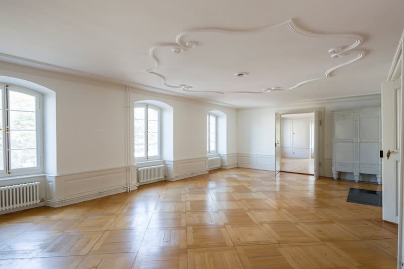 Luxurious living in the Laué Estate (2)