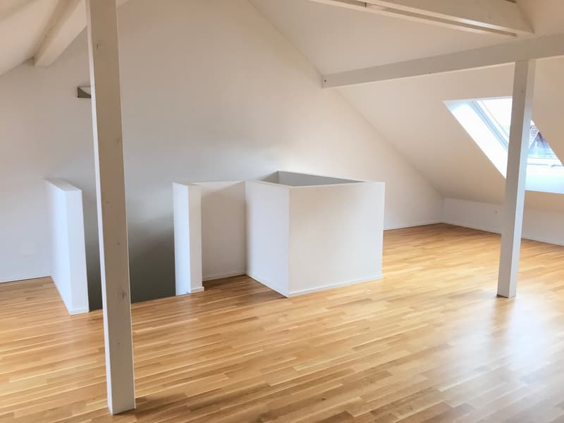 Einfamilienhaus mit grosszügigem Garten und gedecktem Sitzplatz (8)