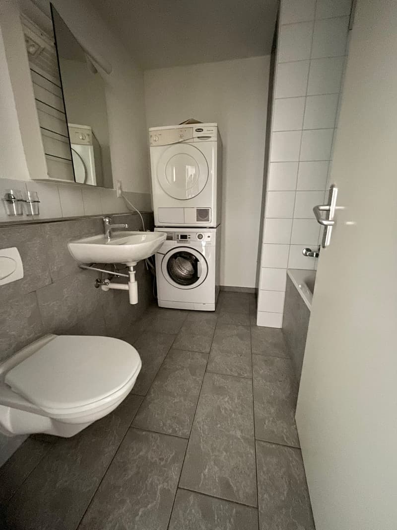 Grosszügige Maisonnette Wohnung an zentraler Lage (4)