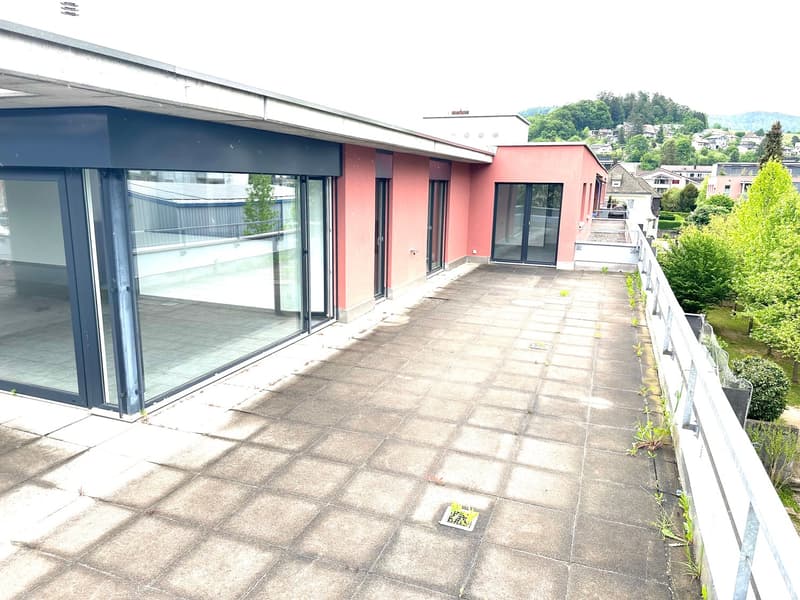 Grosszügige 6-Zimmer-Attikawohnung mit Cheminée und grosser Terrasse (13)