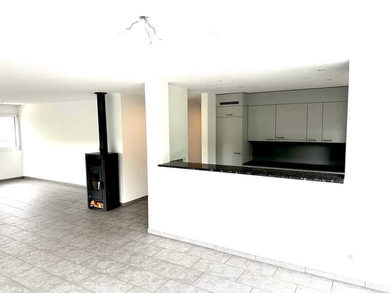 Grosszügige 6-Zimmer-Attikawohnung mit Cheminée und grosser Terrasse (3)